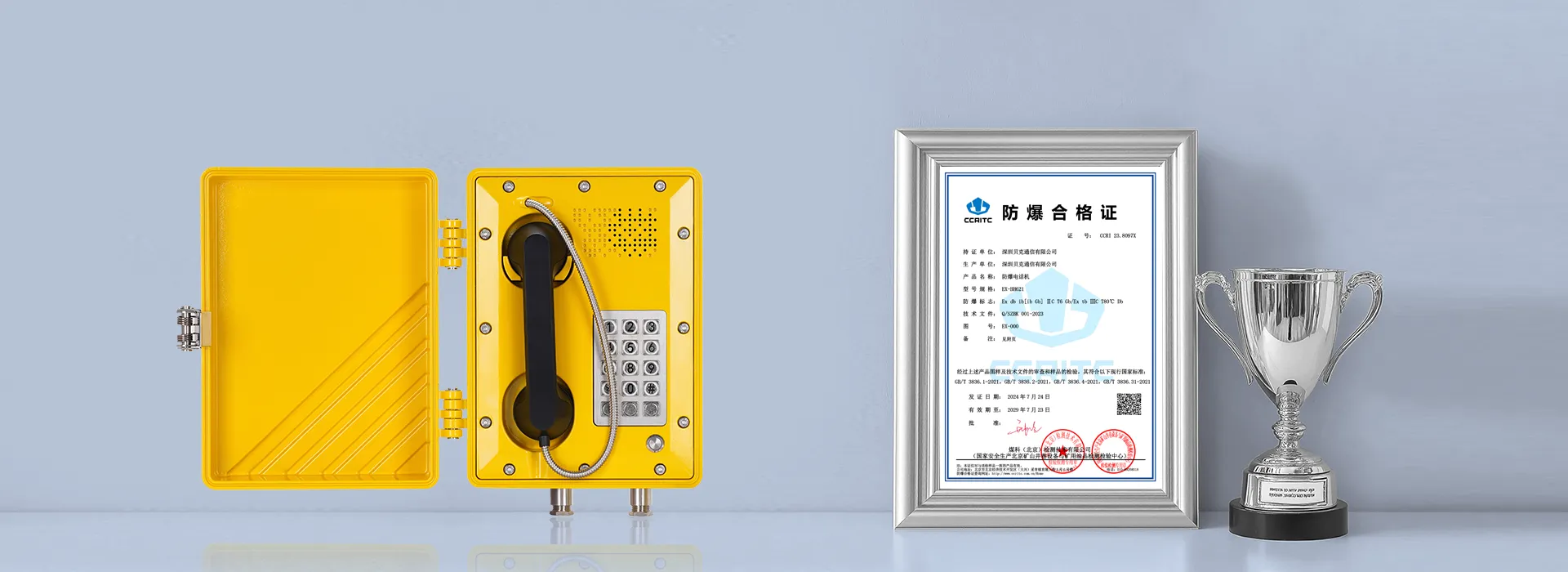Clasificación a prueba de explosiones: Exde II CT6 (China GB Standard & International IECEx Certification)