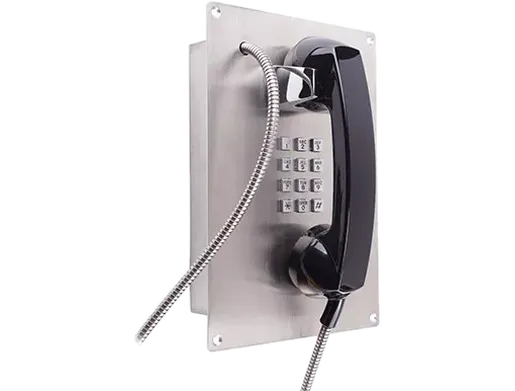 Teléfono antivandálico BT22