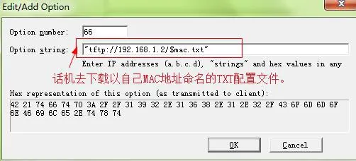Agregar nuevo DHCP option